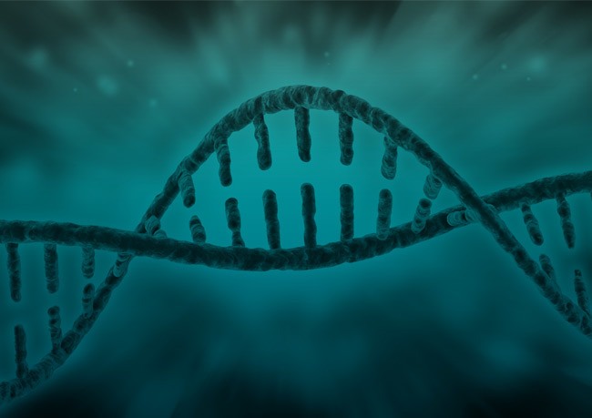 Examen’s Fertility Tests