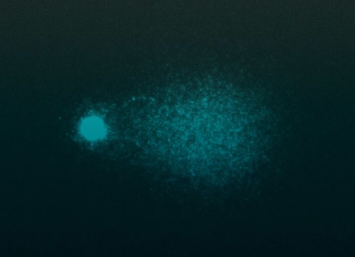 Damaged DNA shown by the SpermComet fertility test results